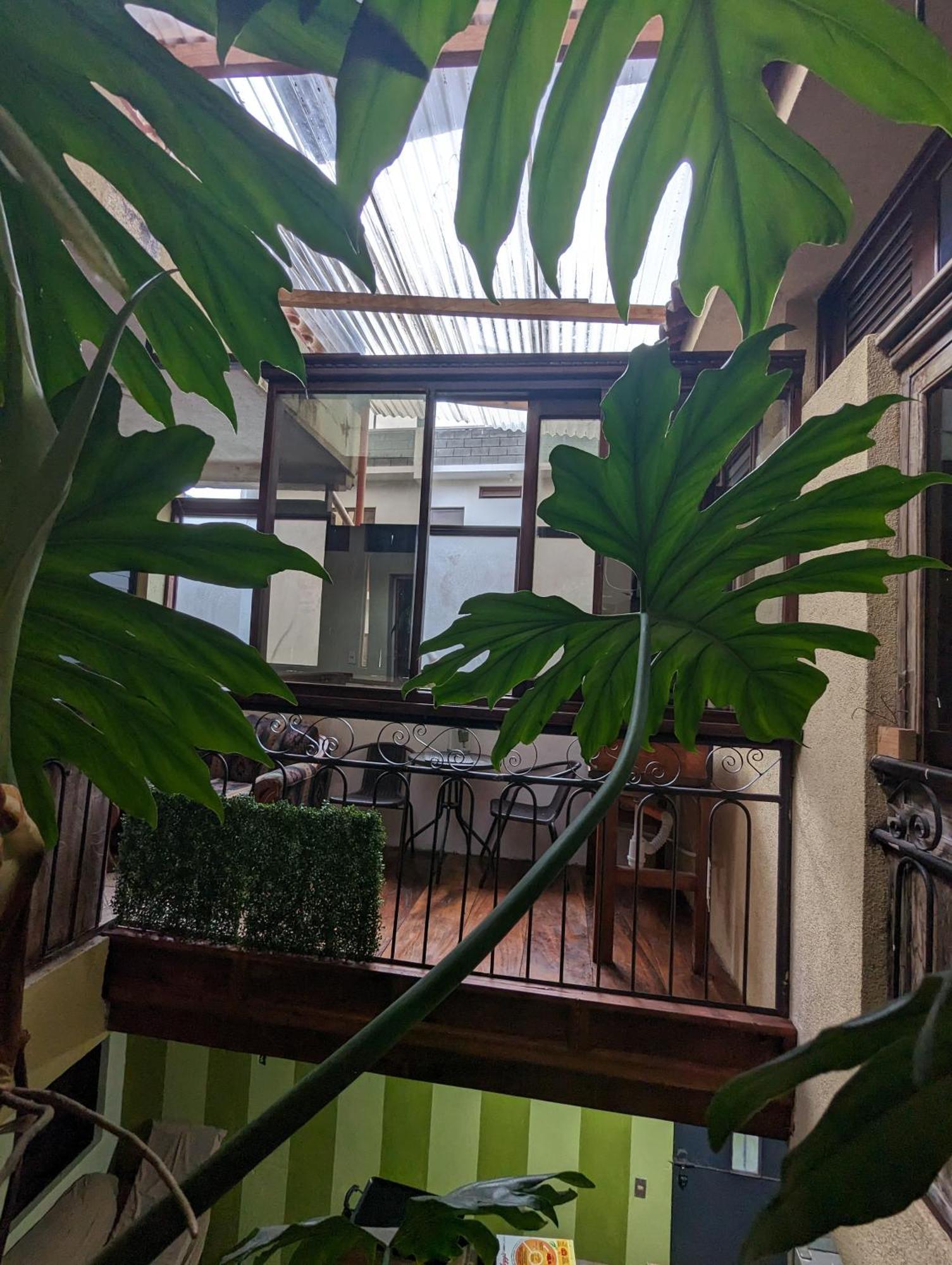 דירות Santiago Atitlán Casa Gonzalez מראה חיצוני תמונה